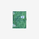 SAVON-16-herbe 2.webp