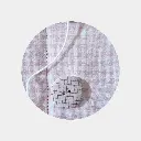 TT Pastel rose-5-Zoom.webp