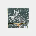 TT PlantesVert&jaune-2-Fermé.webp