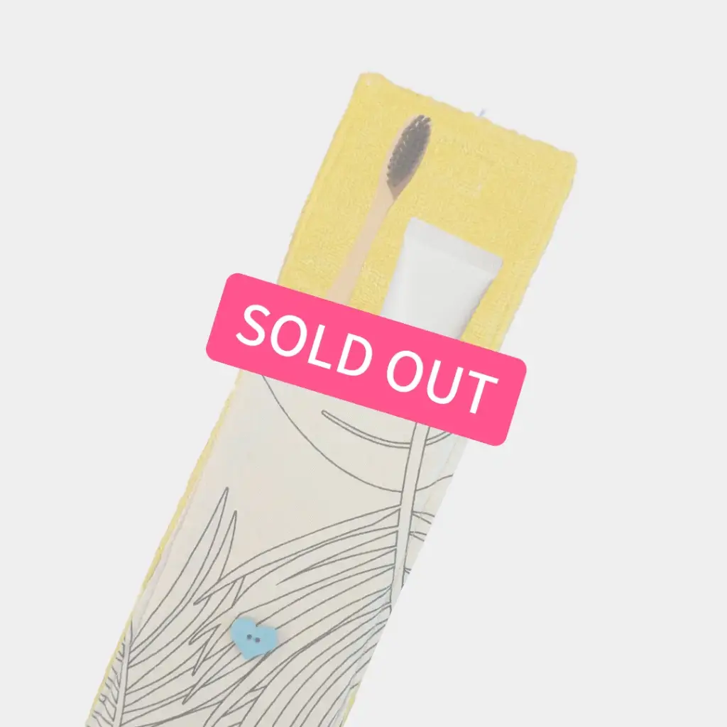 Etui brosse à dents