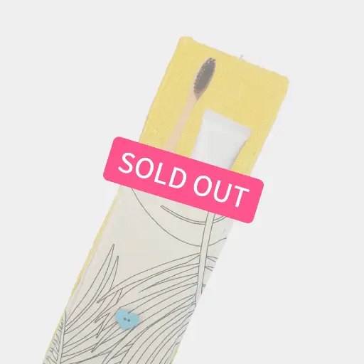 Etui brosse à dents